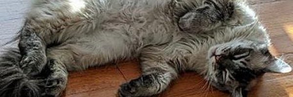 RaqCenteno Profile Banner