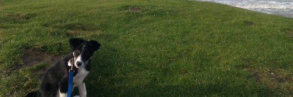 joannalgiles Profile Banner