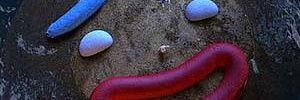 gingy758's profile banner image