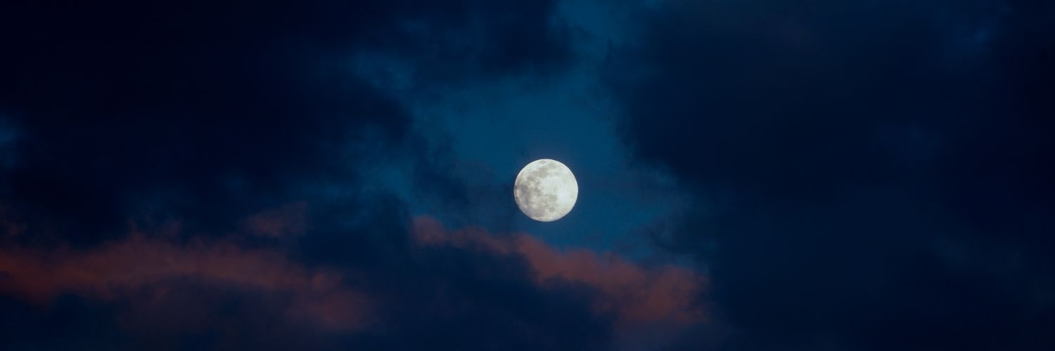 DZorzi7's profile banner image