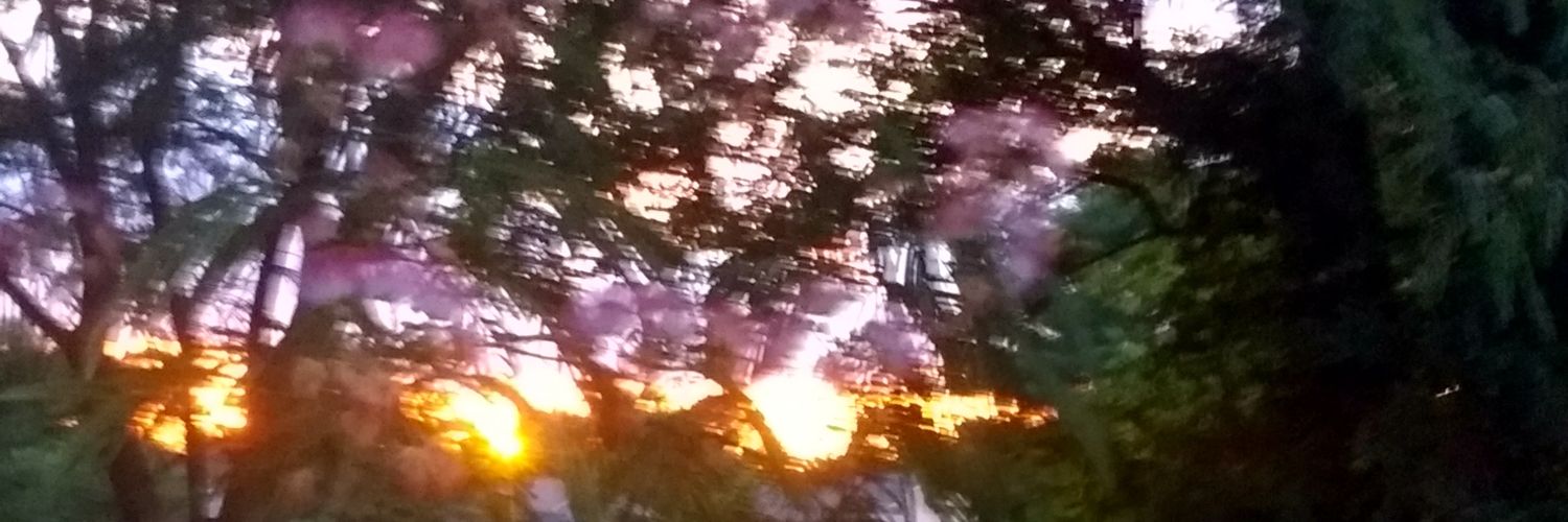 T_Briley_'s profile banner image