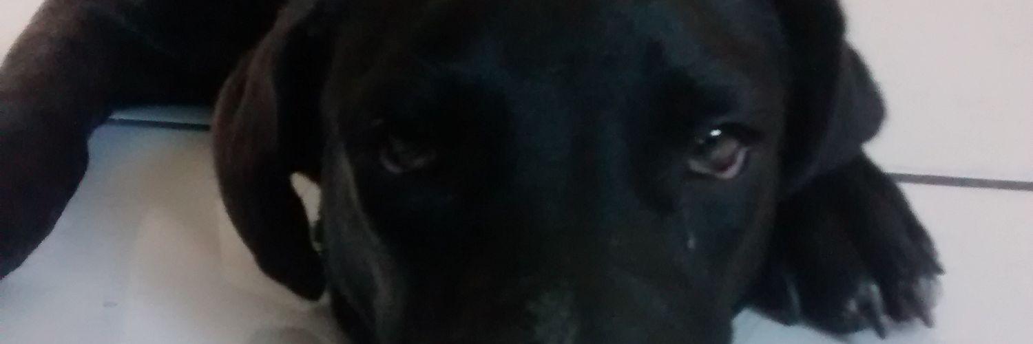 cmsan's profile banner image