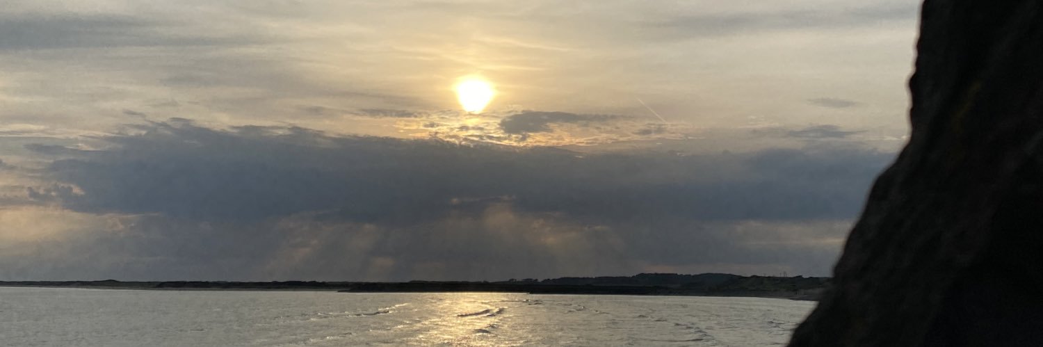 lushwalks's profile banner image
