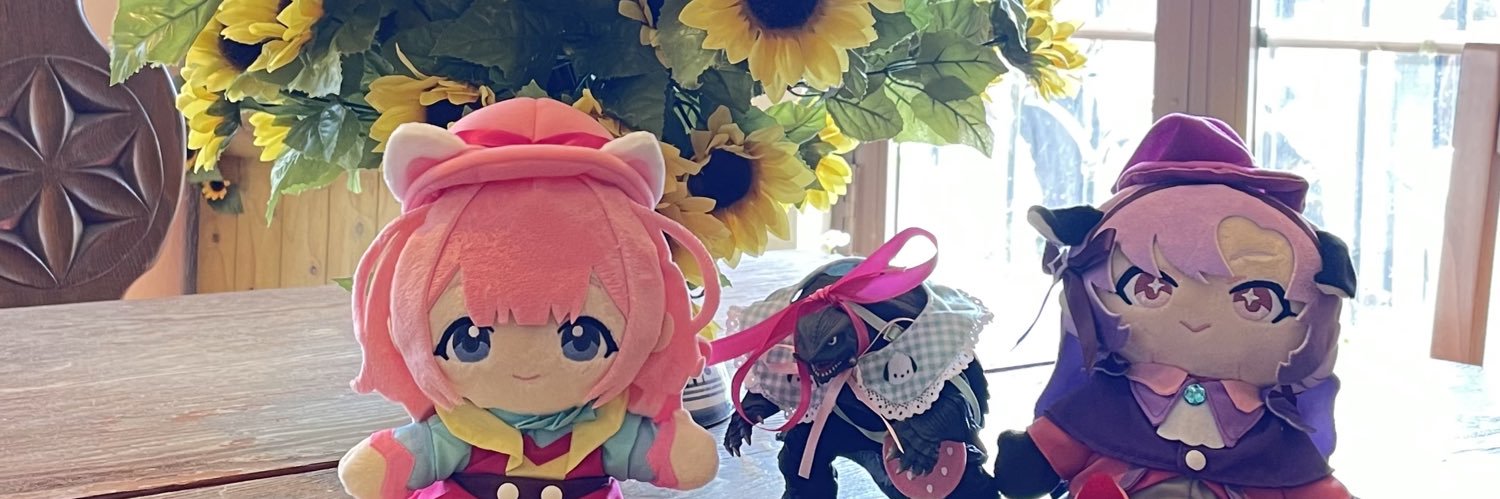 こたろす💞🦩 banner