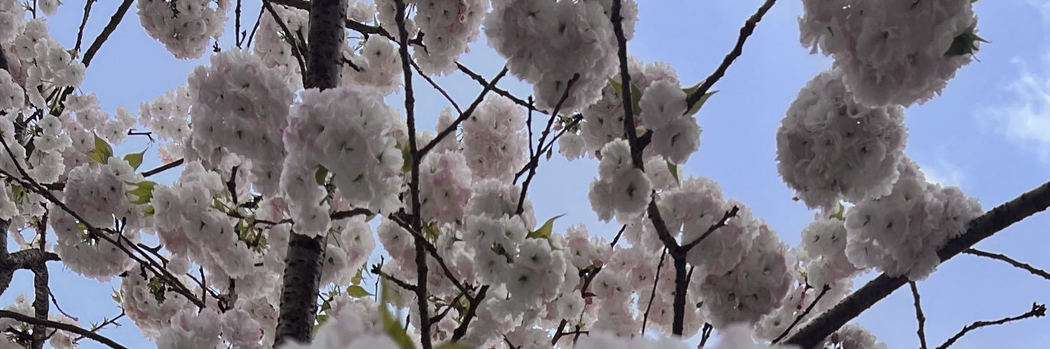696no_ne's profile banner image