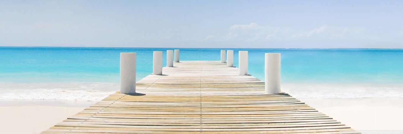 Tracy🌴♌🌊🎱🏹 banner