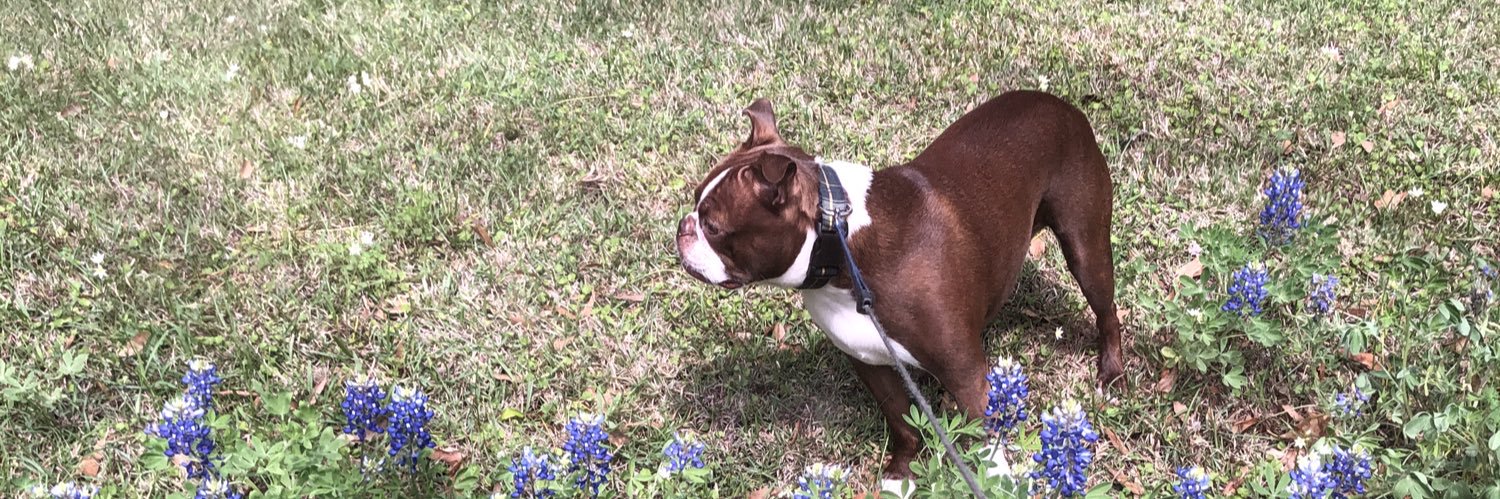 Kaylin Burleson banner