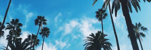 peacefvlly_'s profile banner image