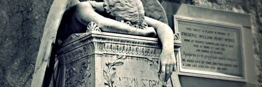 ْ's banner