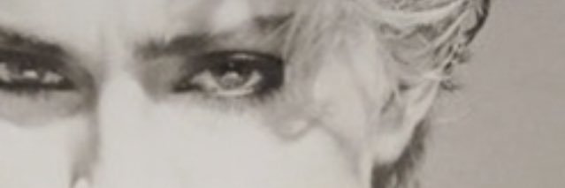David Gardner banner