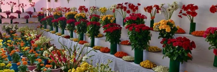 ସମ୍ବିତ ଆଚାର୍ଯ୍ୟ संबित आचार्य sambit Acharya banner