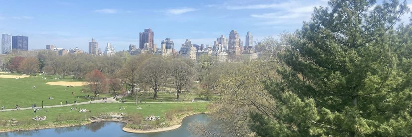 Dr. Daisy Rodriguez banner