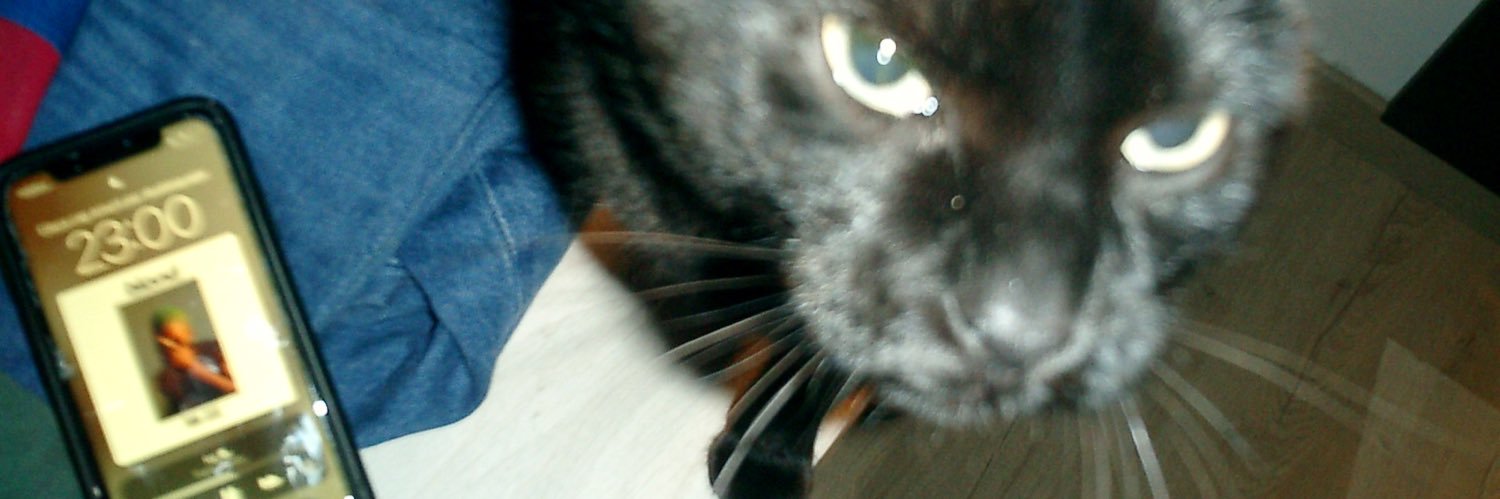 anna capdevila banner