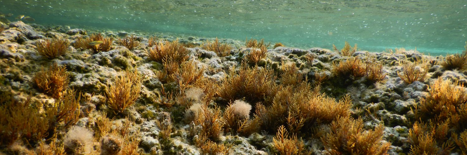 Marine and Environmental Research (MER) Lab banner