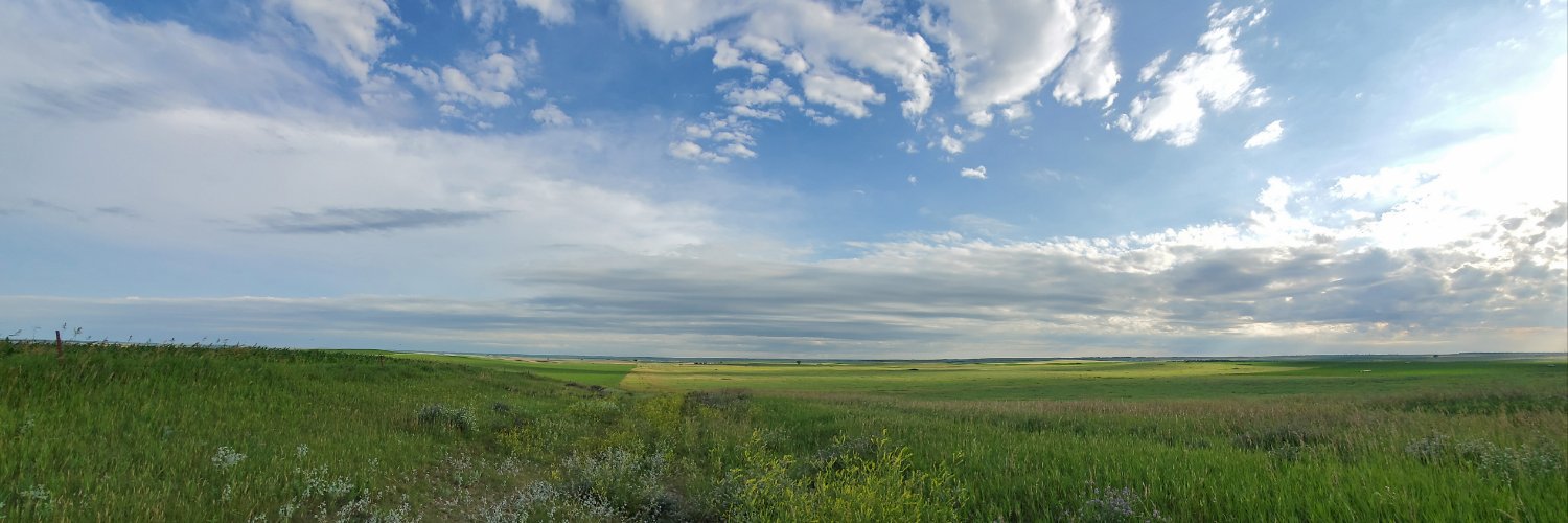 JeanLeier's profile banner image