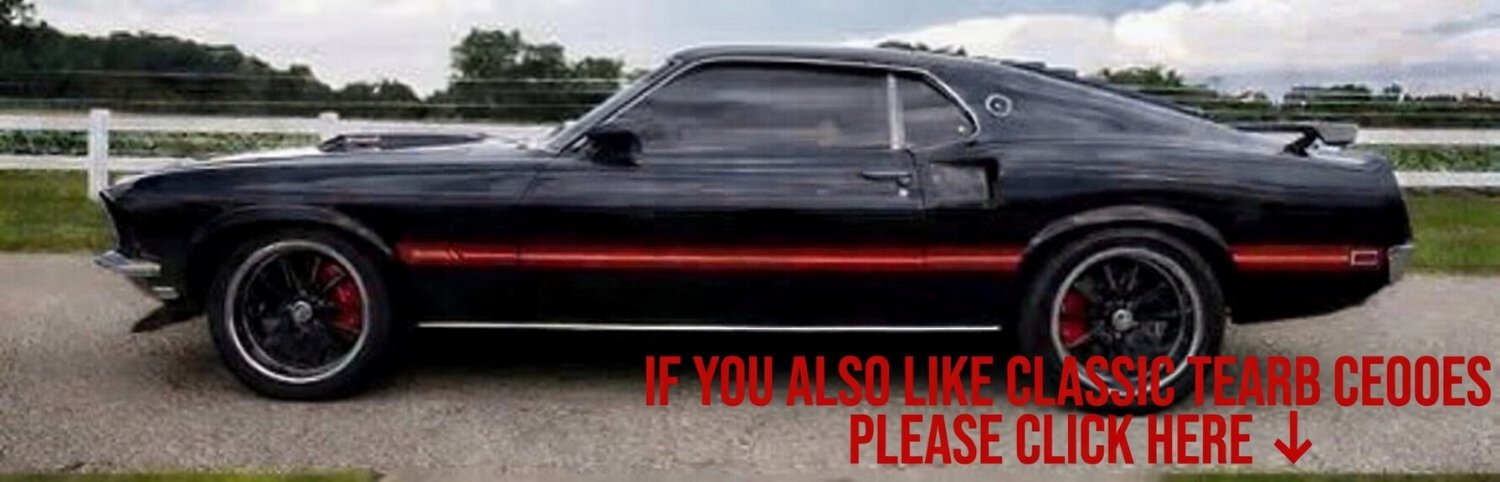CarburetorCraze🇱🇷 banner