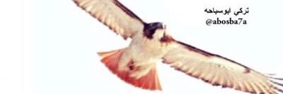 abosba7a's profile banner image