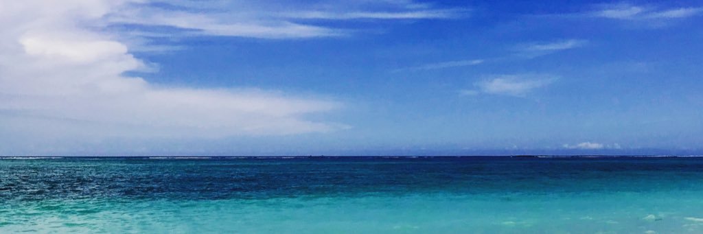 SZandonella's profile banner image