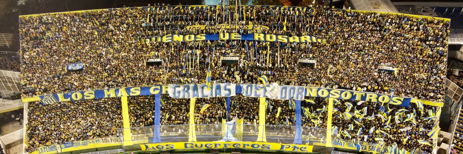 Laion 🇺🇦 banner
