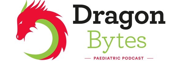 Dragon_Bytes Profile Banner