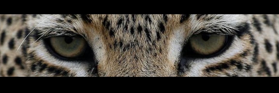 xxip211's profile banner image