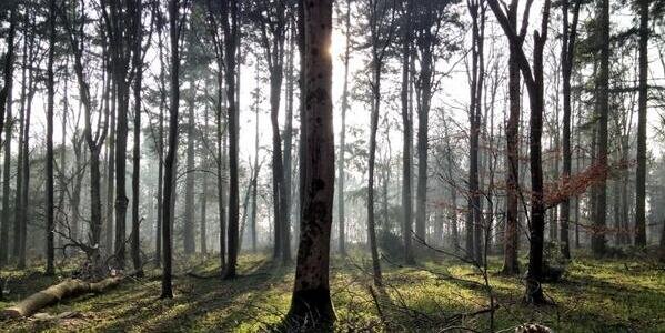 TylerHardwoods's profile banner image