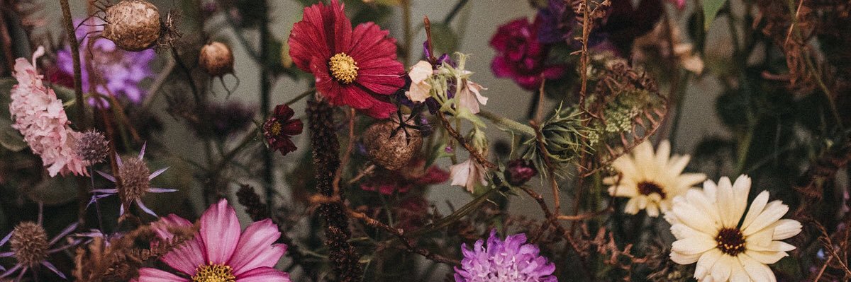 cole_k24's profile banner image