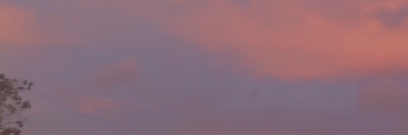estelleryjana's profile banner image