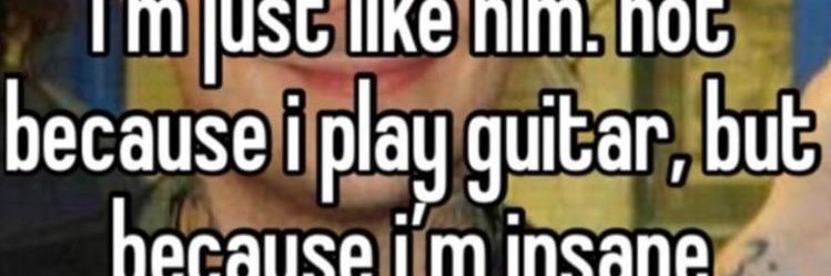 pupposer's profile banner image