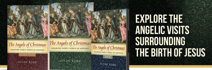 Susan Robb banner
