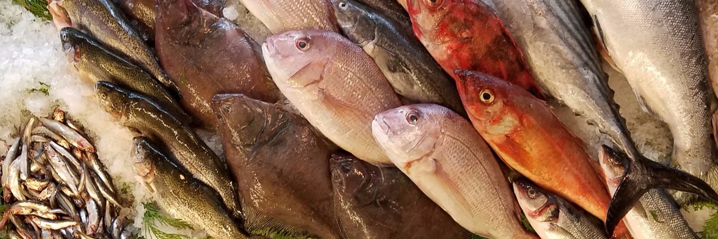 MontereyFishMkt's profile banner image