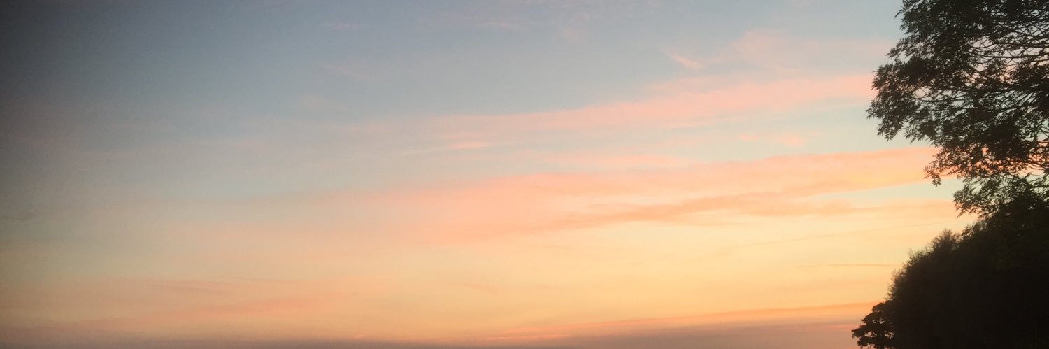 Eva banner
