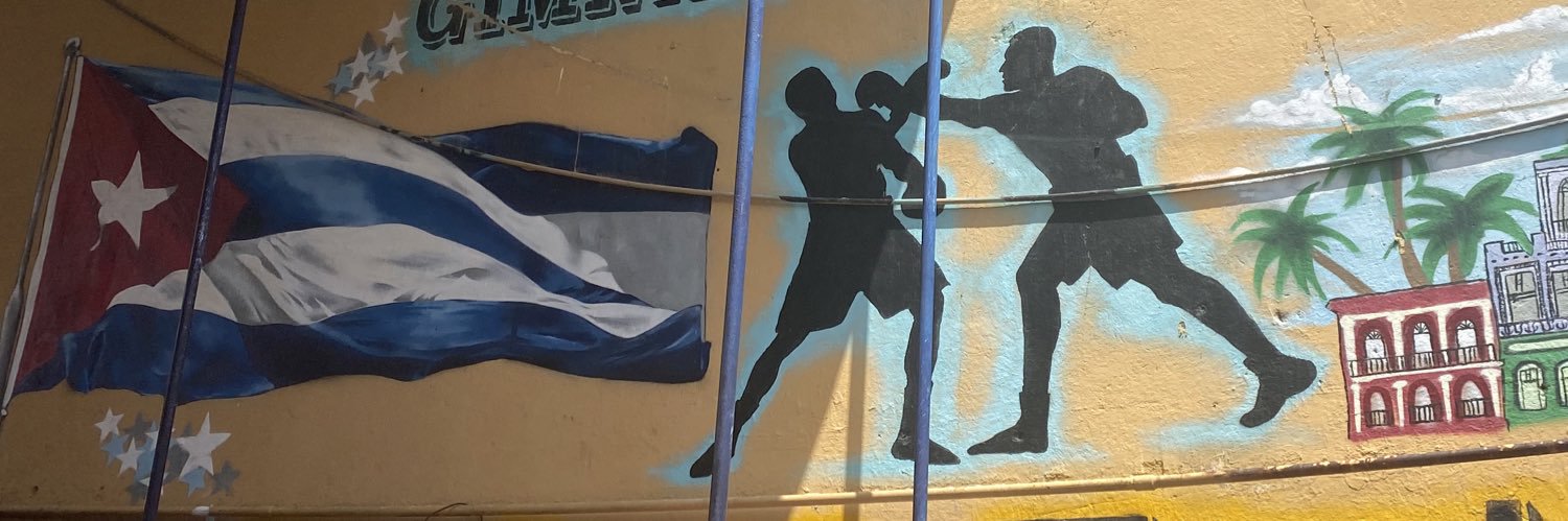 Taylor O’Higgins's banner