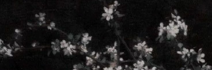 bunchu_'s profile banner image