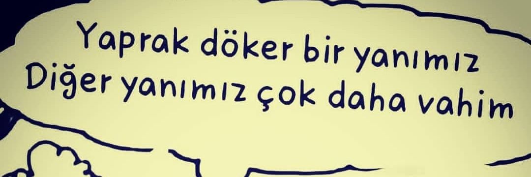 ayse_ozcelk's profile banner image