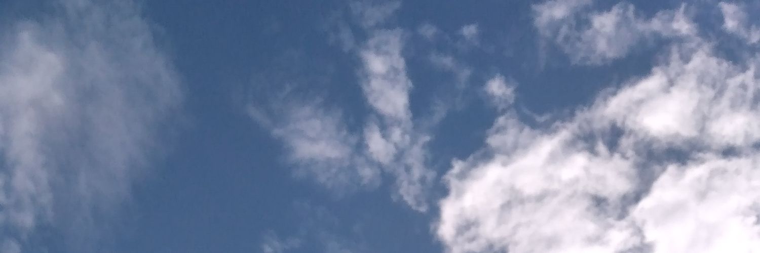 VikuRodriguez's profile banner image
