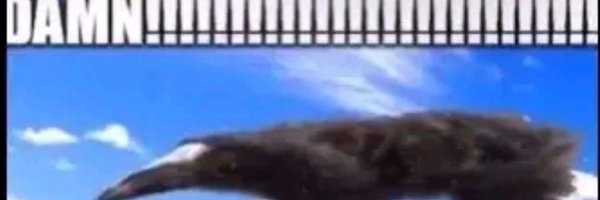 TheTrACEin Profile Banner