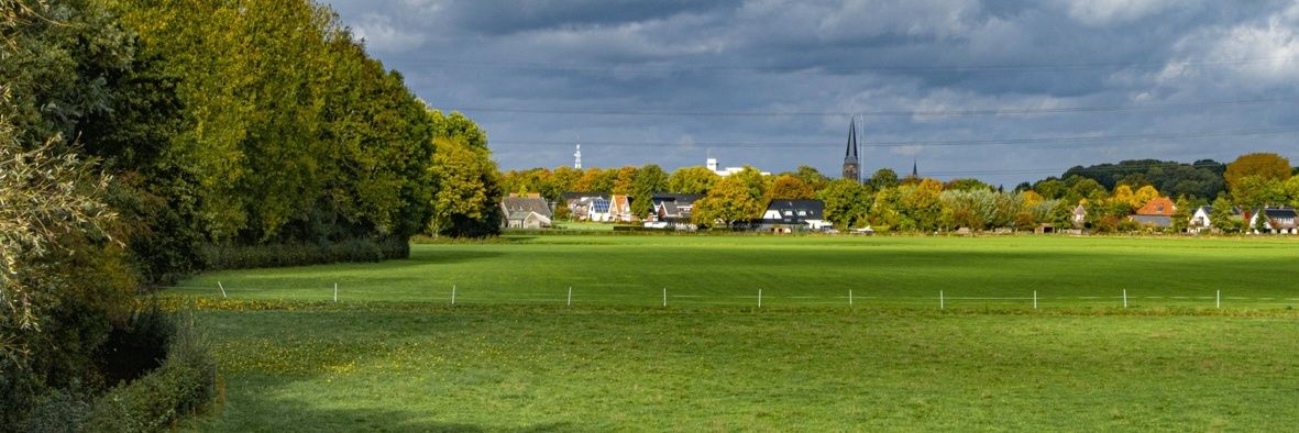 Rob Duijn banner