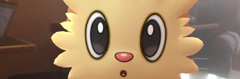 stephen_crow's profile banner image