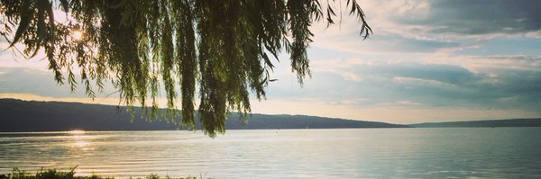 Elizsel Profile Banner