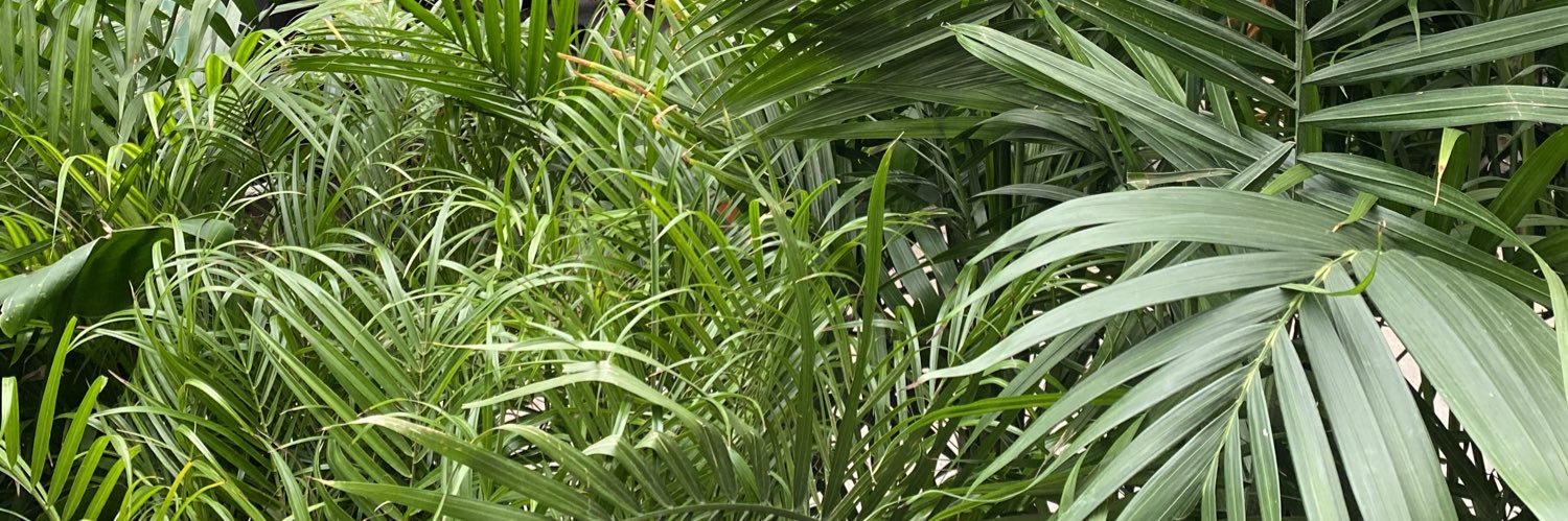 D_rinwalske's profile banner image