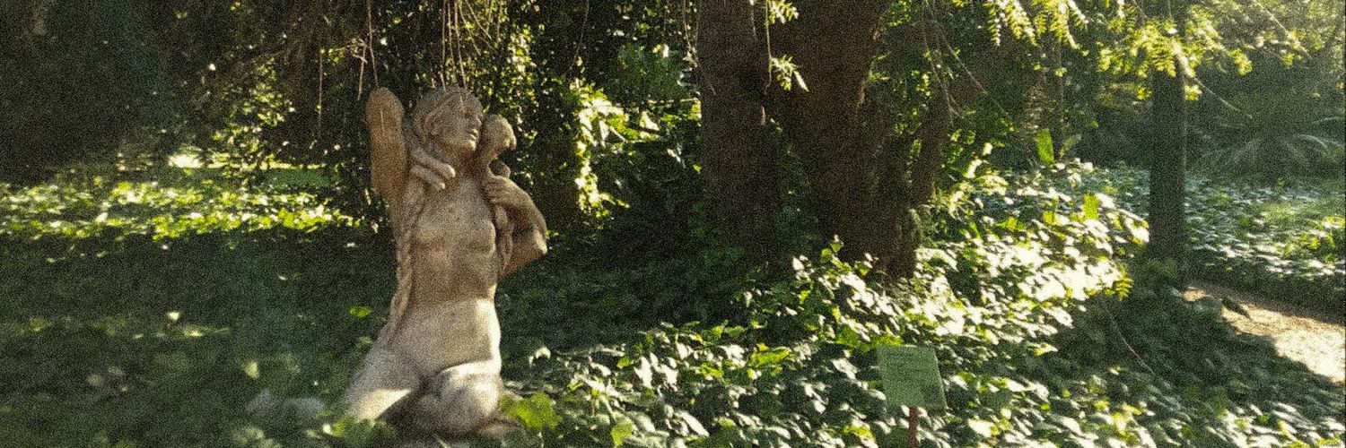 bbelros1's profile banner image