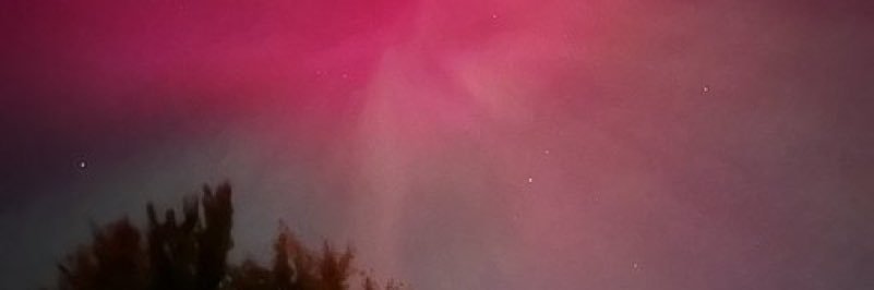 scarlooly's profile banner image