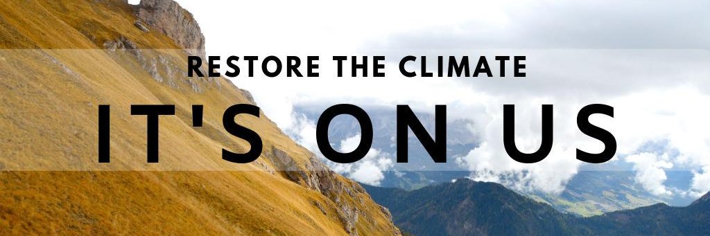 Build A Movement 2020 banner