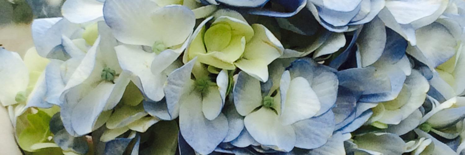 GorgeousLadee6's profile banner image