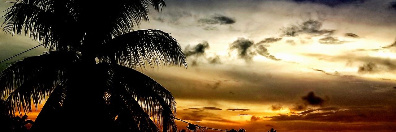 brunavar2's profile banner image