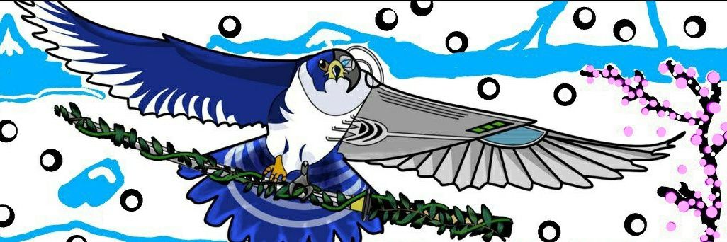 🇷🇺🇷🇺 HCG🇺🇲🇺🇲 banner