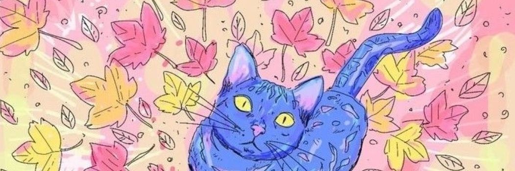 💚Val Stroman🐈‍⬛ banner