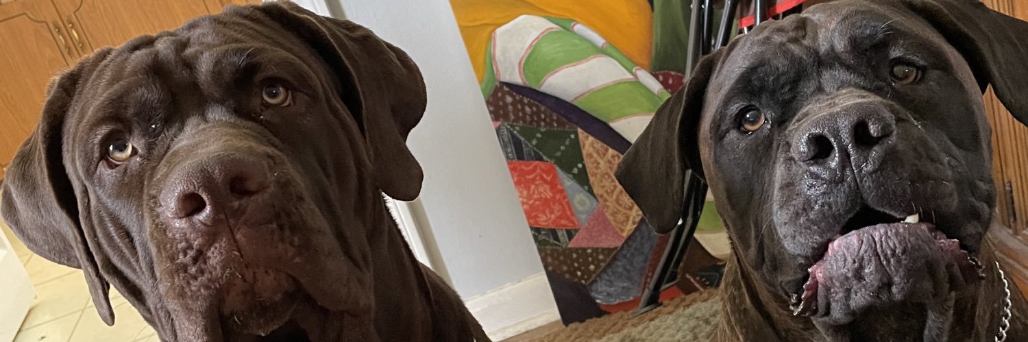 Gibber33's profile banner image