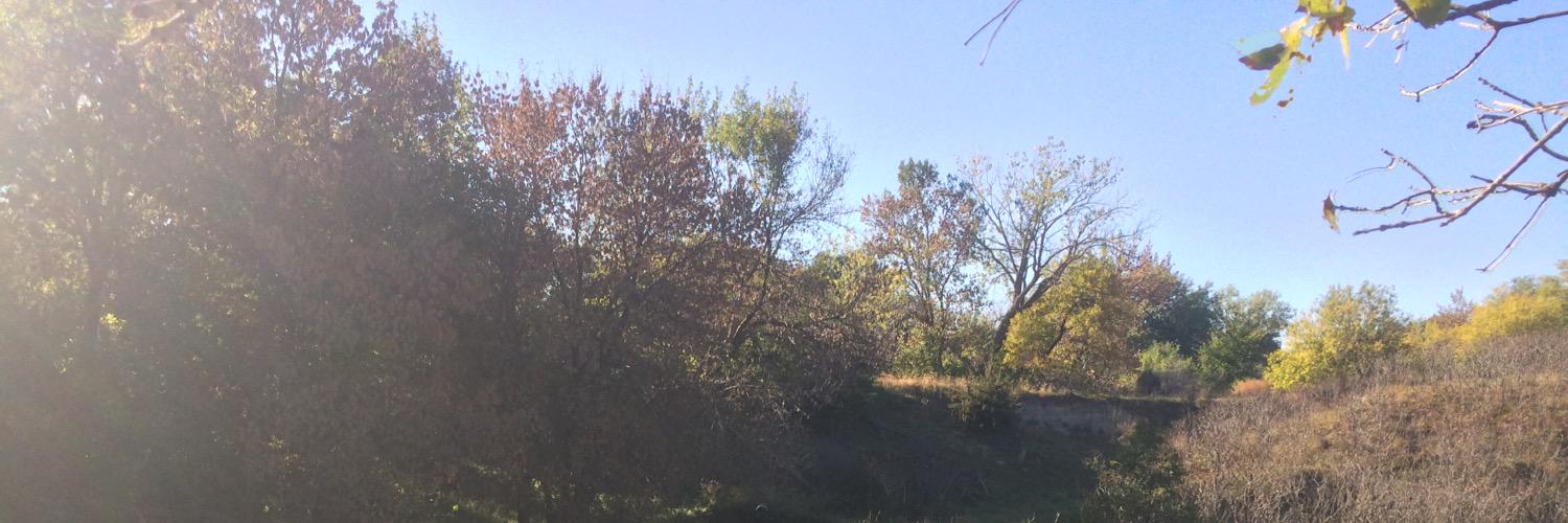 Brennon Malcom banner